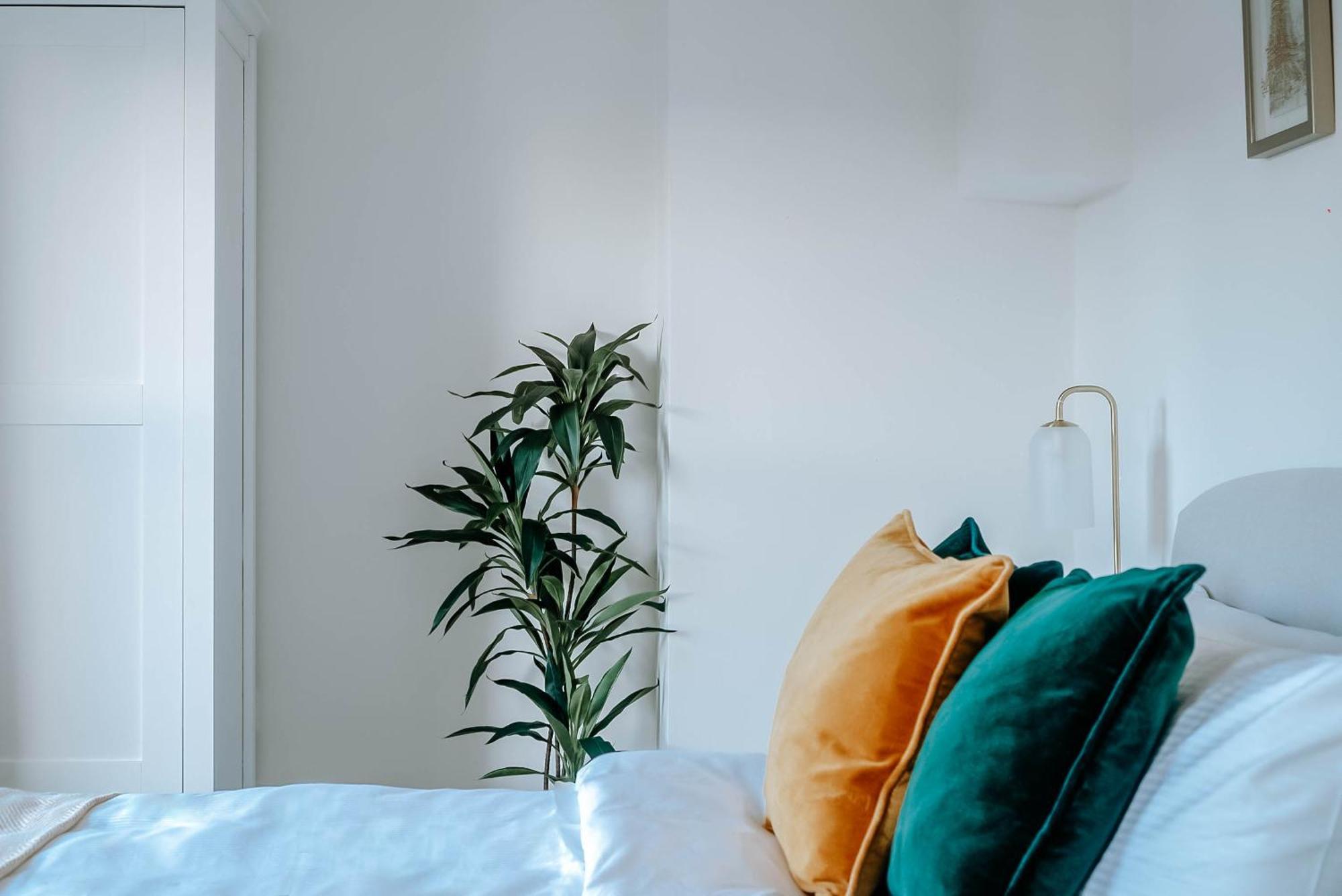 Mayfield Three - Central Harrogate Apartment المظهر الخارجي الصورة